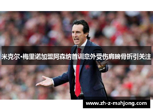 米克尔·梅里诺加盟阿森纳首训意外受伤肩膀骨折引关注